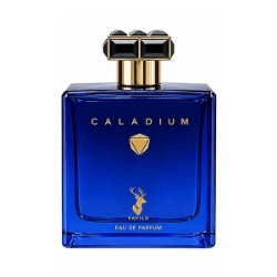 ادوپرفیوم مردانه پاپیلو مدل CALADIUM با رایحه روژا داو الیسیوم حجم 100 میلی لیتر